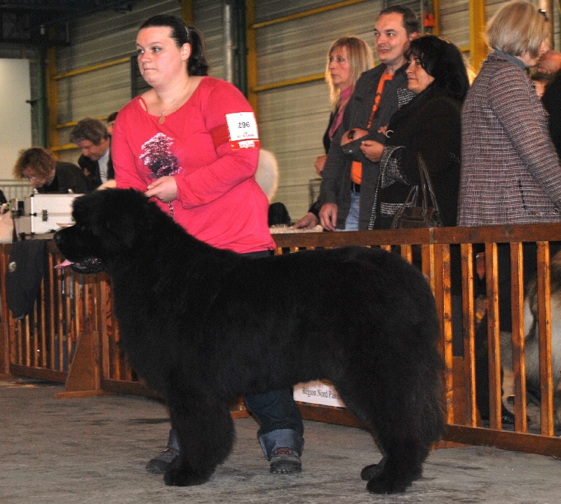 Gueule d'amour Des Contre Vents Et Marees